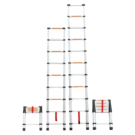 Telesteps professional extension ladder